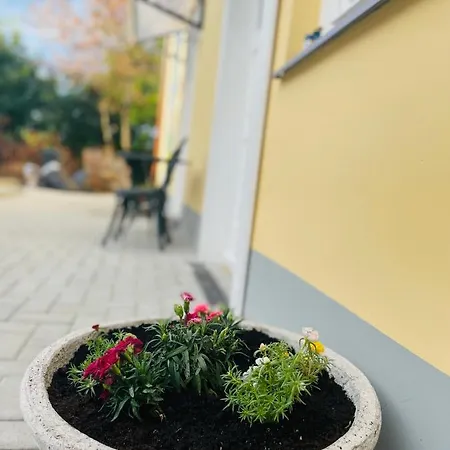 Villabaroque_eger Bed and breakfast