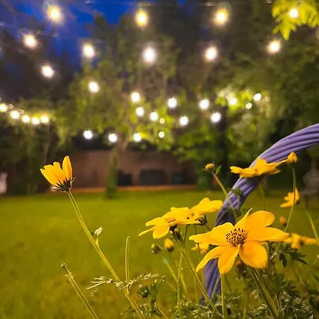 לינה וארוחת בוקר Villabaroque_eger אגר